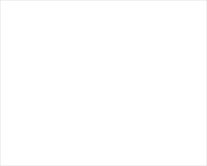 wsqrN-corporate-300×241