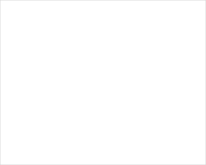 wsqrN-environmental-300×241
