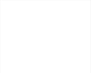 wsqrN-financial-300×241