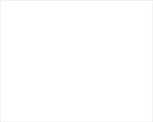 wsqrN-government-300×241