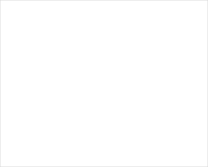 wsqrN-immigration-300×241