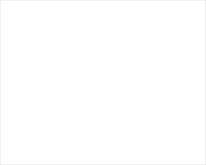 wsqrN-litigation-300×241